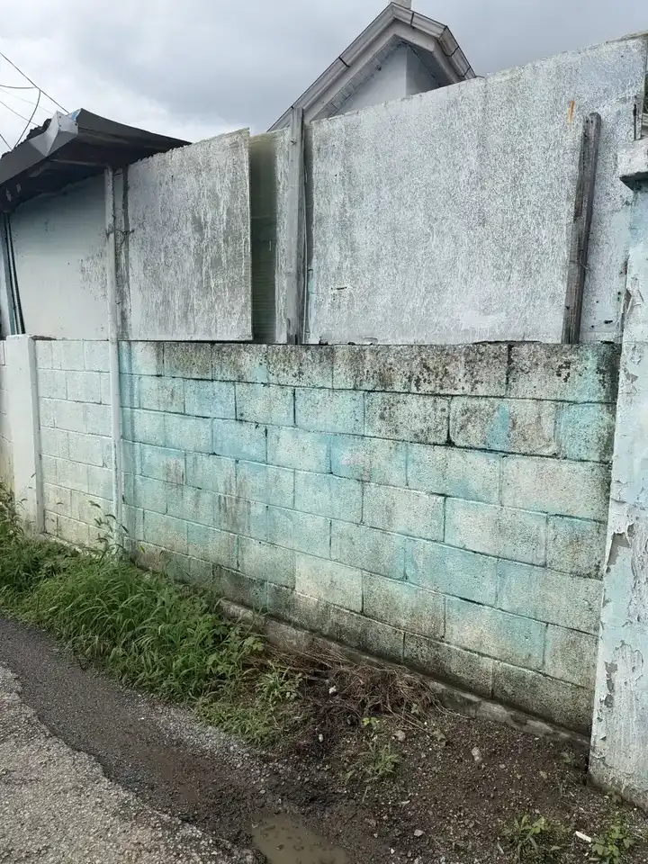 주택 골목 담벼락 하단 블록 얼룩과 이끼 도장 이전